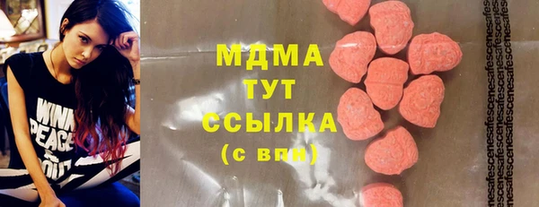 прущие грибы Алзамай