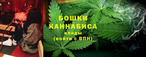 ПСИЛОЦИБИНОВЫЕ ГРИБЫ Алексеевка