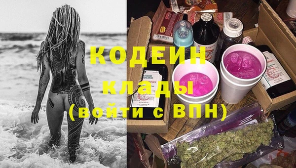 прущие грибы Алзамай