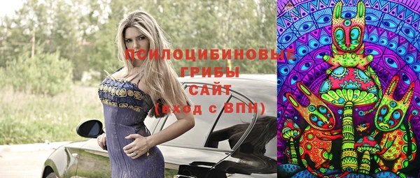прущие грибы Алзамай